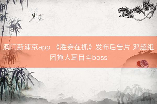 澳门新浦京app 《胜券在抓》发布后告片 邓超组团掩人耳目斗boss