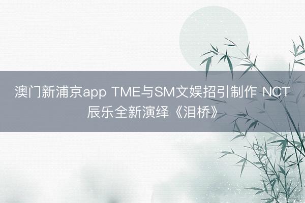澳门新浦京app TME与SM文娱招引制作 NCT辰乐全新演绎《泪桥》