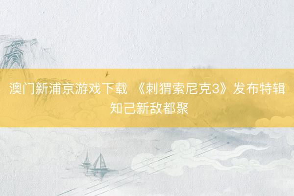 澳门新浦京游戏下载 《刺猬索尼克3》发布特辑 知己新敌都聚