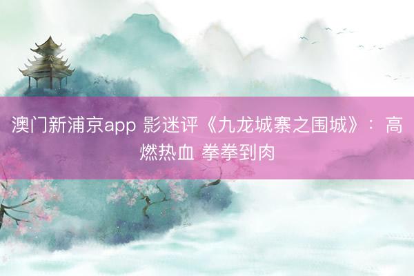 澳门新浦京app 影迷评《九龙城寨之围城》:高燃热血 拳拳到肉