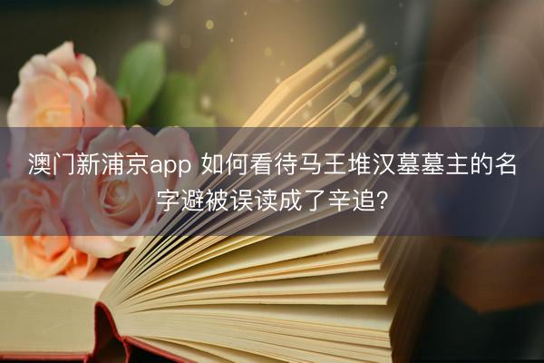 澳门新浦京app 如何看待马王堆汉墓墓主的名字避被误读成了辛追？