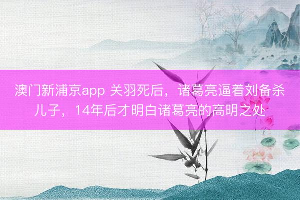 澳门新浦京app 关羽死后，诸葛亮逼着刘备杀儿子，14年后才明白诸葛亮的高明之处