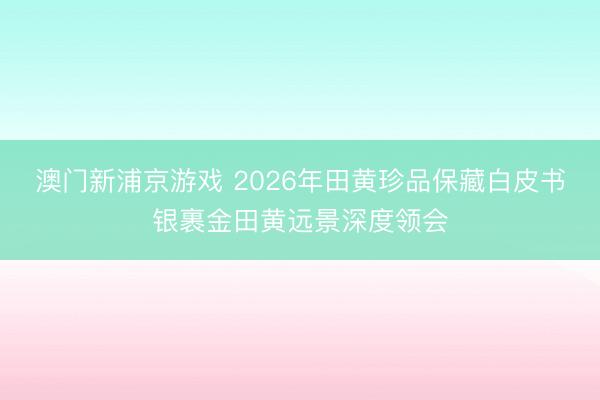 澳门新浦京游戏 2026年田黄珍品保藏白皮书银裹金田黄远景深度领会