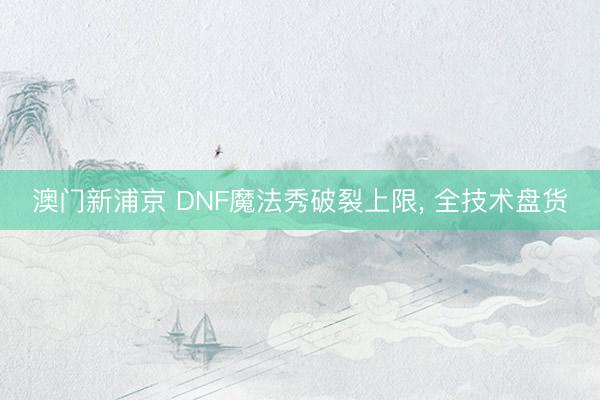 澳门新浦京 DNF魔法秀破裂上限, 全技术盘货