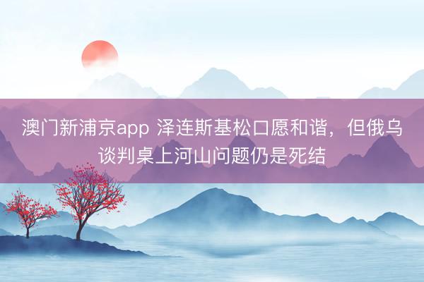 澳门新浦京app 泽连斯基松口愿和谐，但俄乌谈判桌上河山问题仍是死结