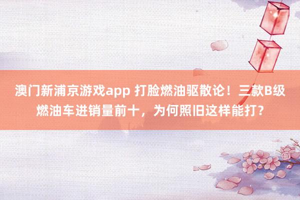 澳门新浦京游戏app 打脸燃油驱散论！三款B级燃油车进销量前十，为何照旧这样能打？