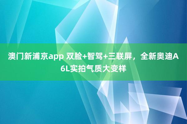 澳门新浦京app 双脸+智驾+三联屏，全新奥迪A6L实拍气质大变样