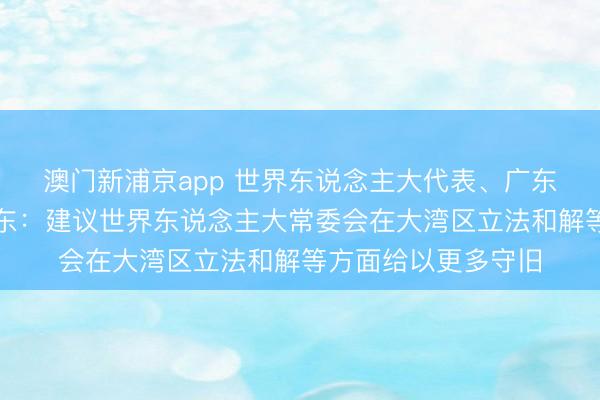 澳门新浦京app 世界东说念主大代表、广东省司法厅厅长陈旭东:建议世界东说念主大常委会在大湾区立法和解等方面给以更多守旧