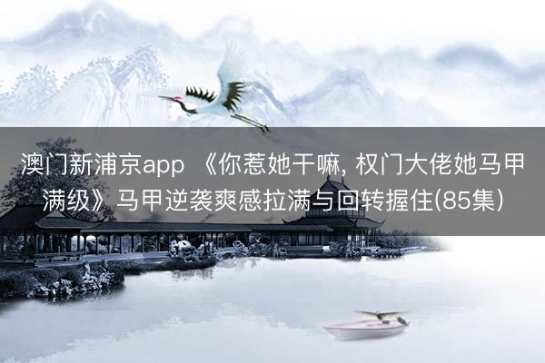 澳门新浦京app 《你惹她干嘛， 权门大佬她马甲满级》马甲逆袭爽感拉满与回转握住(85集)