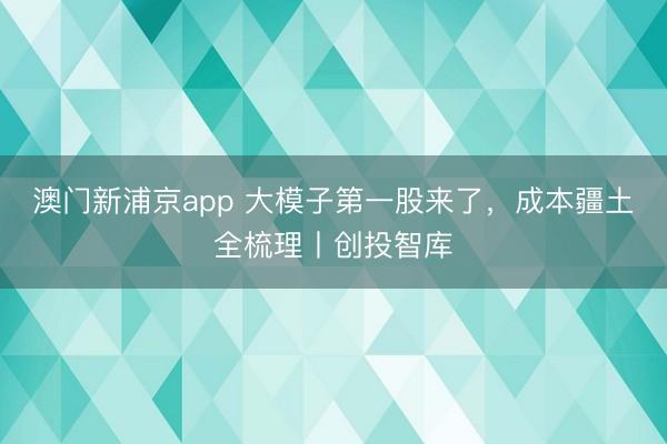 澳门新浦京app 大模子第一股来了，成本疆土全梳理丨创投智库