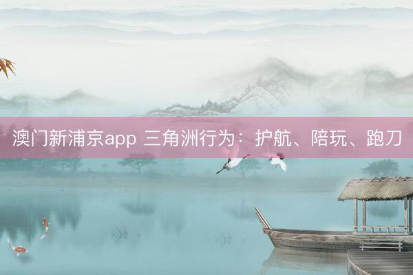 澳门新浦京app 三角洲行为：护航、陪玩、跑刀