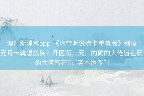 澳门新浦京app 《冰雪听说点卡重置版》别傻了!冲个58元月卡就想搬砖?开区第一天,的确的大佬皆在玩“老本运作”!