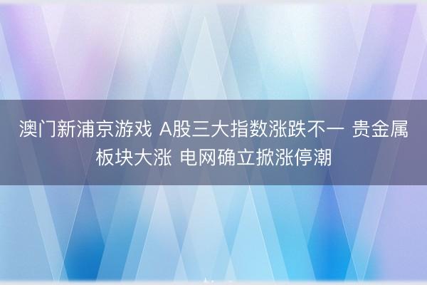 澳门新浦京游戏 A股三大指数涨跌不一 贵金属板块大涨 电网确立掀涨停潮
