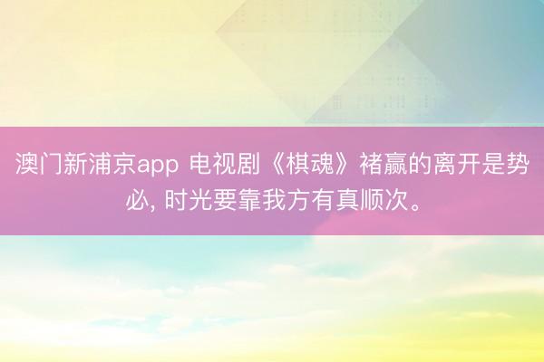 澳门新浦京app 电视剧《棋魂》褚赢的离开是势必， 时光要靠我方有真顺次。