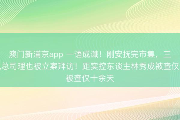 澳门新浦京app 一语成谶！刚安抚完市集，三安光电总司理也被立案拜访！距实控东谈主林秀成被查仅十余天