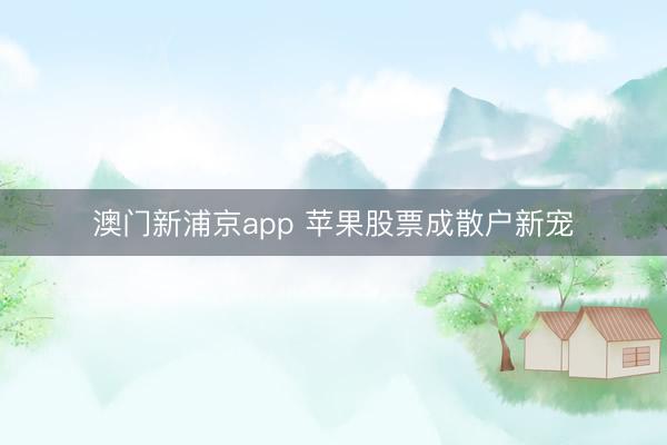 澳门新浦京app 苹果股票成散户新宠