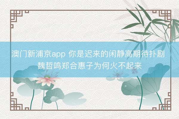 澳门新浦京app 你是迟来的闲静高期待扑剧 魏哲鸣郑合惠子为何火不起来