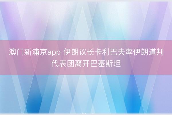 澳门新浦京app 伊朗议长卡利巴夫率伊朗道判代表团离开巴基斯坦