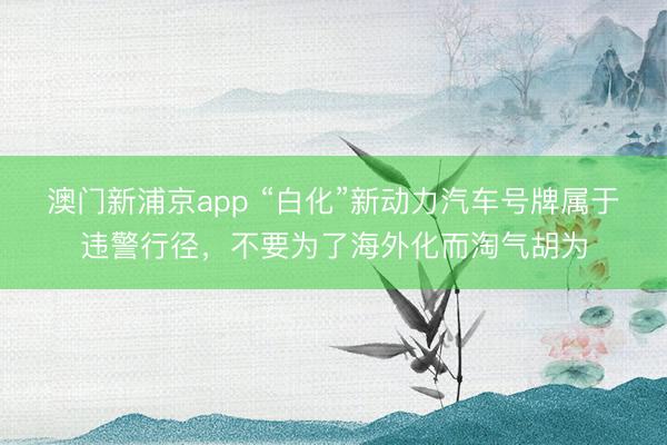 澳门新浦京app “白化”新动力汽车号牌属于违警行径，不要为了海外化而淘气胡为