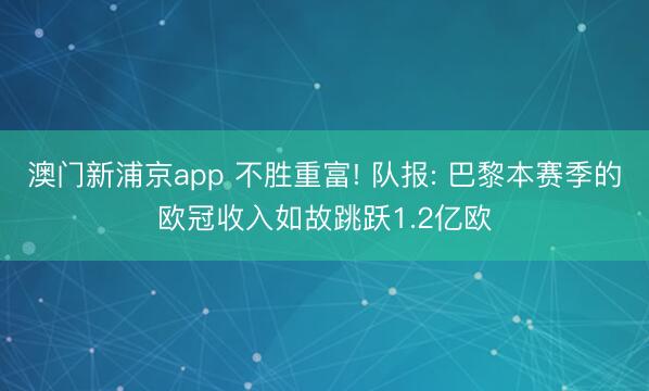 澳门新浦京app 不胜重富! 队报: 巴黎本赛季的欧冠收入如故跳跃1.2亿欧