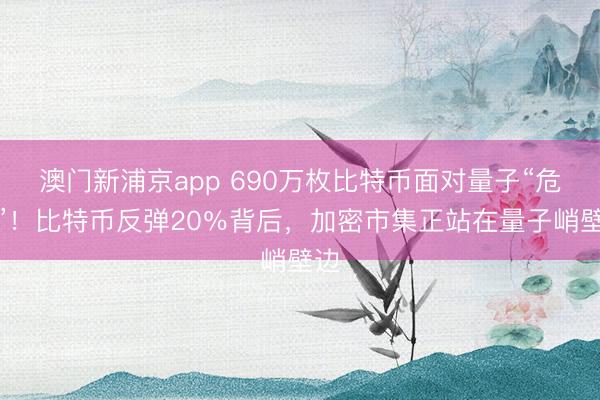 澳门新浦京app 690万枚比特币面对量子“危急”！比特币反弹20％背后，加密市集正站在量子峭壁边