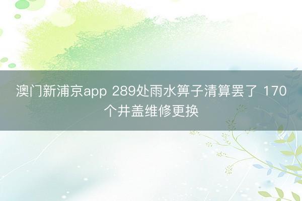 澳门新浦京app 289处雨水箅子清算罢了 170个井盖维修更换
