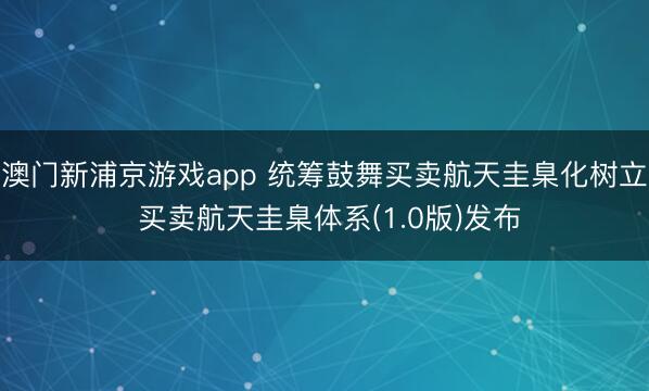 澳门新浦京游戏app 统筹鼓舞买卖航天圭臬化树立 买卖航天圭臬体系(1.0版)发布