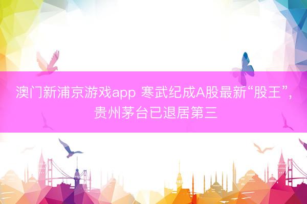 澳门新浦京游戏app 寒武纪成A股最新“股王”， 贵州茅台已退居第三