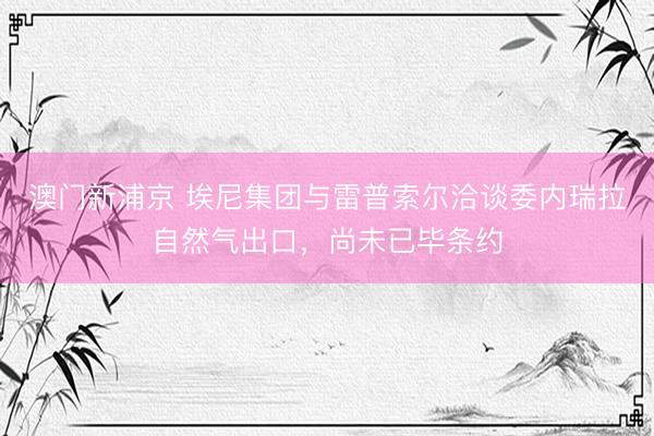 澳门新浦京 埃尼集团与雷普索尔洽谈委内瑞拉自然气出口，尚未已毕条约