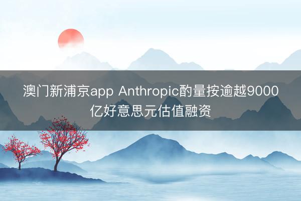 澳门新浦京app Anthropic酌量按逾越9000亿好意思元估值融资