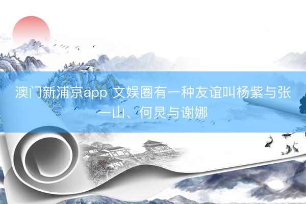 澳门新浦京app 文娱圈有一种友谊叫杨紫与张一山、何炅与谢娜