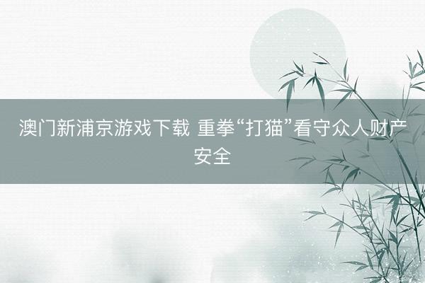澳门新浦京游戏下载 重拳“打猫”看守众人财产安全