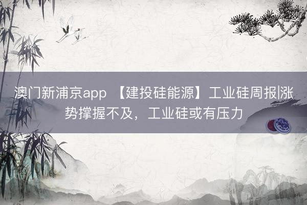 澳门新浦京app 【建投硅能源】工业硅周报|涨势撑握不及，工业硅或有压力