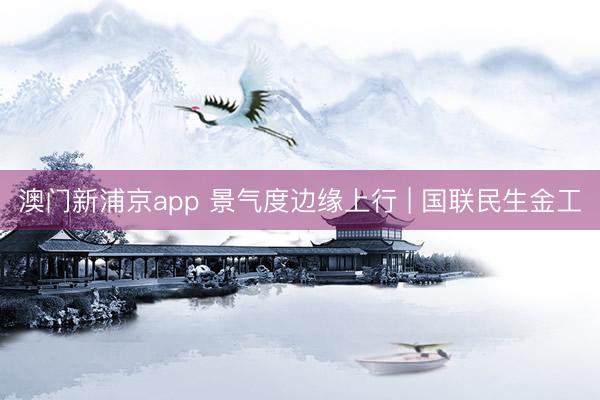 澳门新浦京app 景气度边缘上行 | 国联民生金工