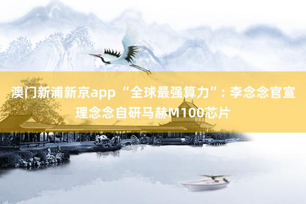 澳门新浦新京app “全球最强算力”: 李念念官宣理念念自研马赫M100芯片