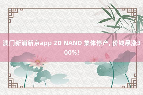 澳门新浦新京app 2D NAND 集体停产， 价钱暴涨300%!