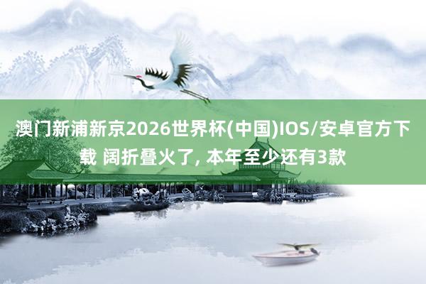 澳门新浦新京2026世界杯(中国)IOS/安卓官方下载 阔折叠火了， 本年至少还有3款