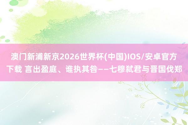 澳门新浦新京2026世界杯(中国)IOS/安卓官方下载 言出盈庭、谁执其咎——七穆弑君与晋国伐郑