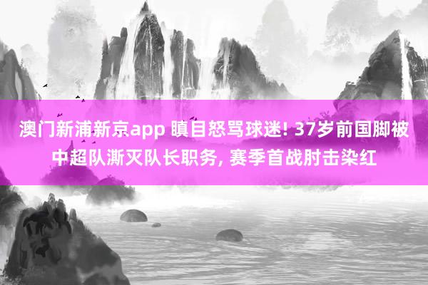 澳门新浦新京app 瞋目怒骂球迷! 37岁前国脚被中超队澌灭队长职务， 赛季首战肘击染红