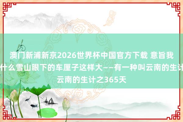 澳门新浦新京2026世界杯中国官方下载 意旨我齐懂，为什么雪山眼下的车厘子这样大——有一种叫云南的生计之365天