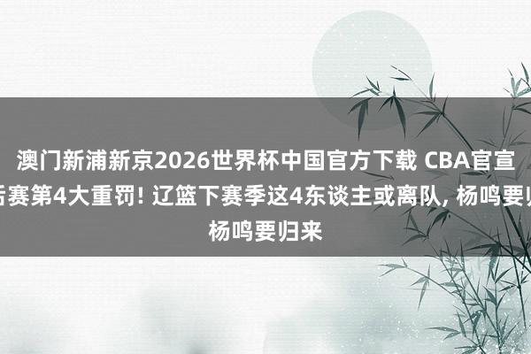 澳门新浦新京2026世界杯中国官方下载 CBA官宣季后赛第4大重罚! 辽篮下赛季这4东谈主或离队， 杨鸣要归来