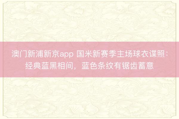 澳门新浦新京app 国米新赛季主场球衣谍照：经典蓝黑相间，蓝色条纹有锯齿蓄意