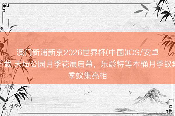 澳门新浦新京2026世界杯(中国)IOS/安卓官方下载 天坛公园月季花展启幕，乐龄特等木桶月季蚁集亮相