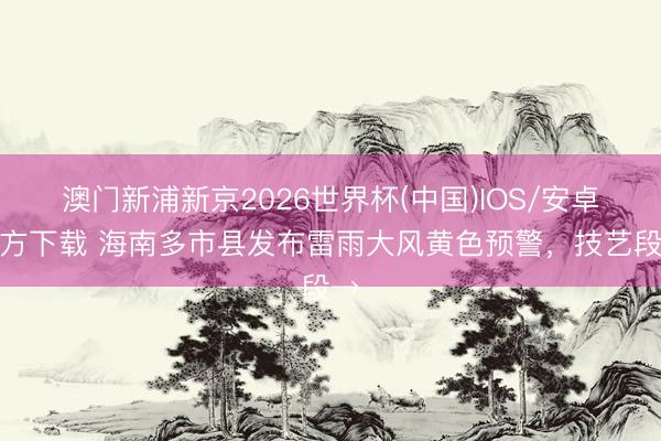 澳门新浦新京2026世界杯(中国)IOS/安卓官方下载 海南多市县发布雷雨大风黄色预警，技艺段→