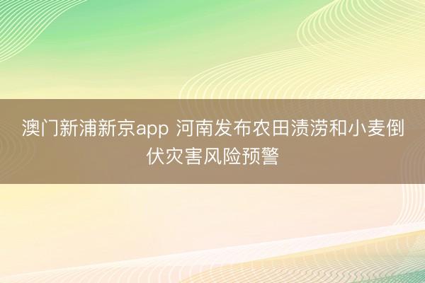 澳门新浦新京app 河南发布农田渍涝和小麦倒伏灾害风险预警