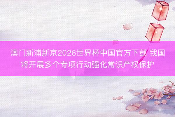 澳门新浦新京2026世界杯中国官方下载 我国将开展多个专项行动强化常识产权保护