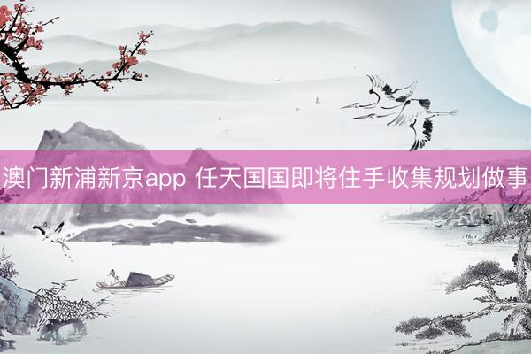 澳门新浦新京app 任天国国即将住手收集规划做事