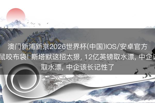 澳门新浦新京2026世界杯(中国)IOS/安卓官方下载 养老鼠咬布袋! 斯塔默这招太狠， 12亿英镑取水漂， 中企该长记性了
