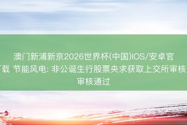 澳门新浦新京2026世界杯(中国)IOS/安卓官方下载 节能风电: 非公诞生行股票央求获取上交所审核通过