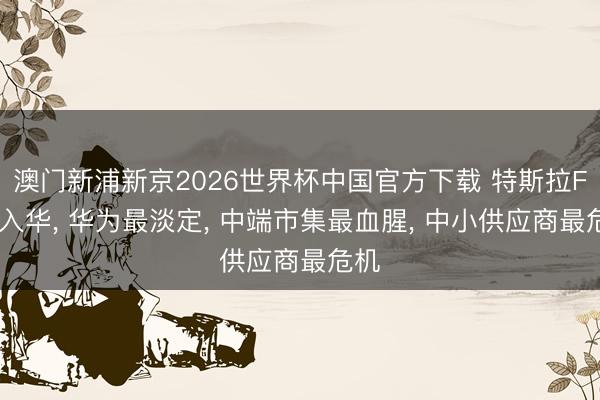 澳门新浦新京2026世界杯中国官方下载 特斯拉FSD入华， 华为最淡定， 中端市集最血腥， 中小供应商最危机